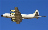 Fco Javier Chao. Click to see full size photo