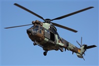 Fco Javier Chao. Click to see full size photo