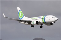 Alfonso Sols - Asociacin Canary Islands Spotting. Click to see full size photo