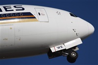 Rodrigo Carvalho - Noisy Spotters. Click to see full size photo