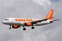 Alfonso Sols - Asociacin Canary Islands Spotting. Haz click para ampliar