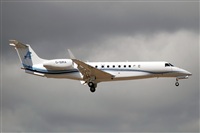 Miguel A. gueda Rguez.  (CANARY ISLANDS SPOTTING). Click to see full size photo