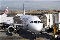 Javier de la Cruz - CANARY ISLANDS SPOTTING. Haz click para ampliar