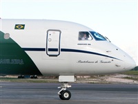 Fabio Duarte - Manaus Spotting Team. Click to see full size photo