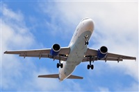 Miguel A. gueda Rguez.  (CANARY ISLANDS SPOTTING). Click to see full size photo
