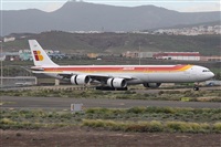 ©Alfonso Solís - Asociación Canary Islands Spotting. Click to see full size photo ©Alfonso Solís - Asociación Canary Islands Spotting. Click to see full size photo