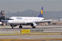Rubn C.. Click to see full size photo
