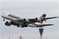 Rodrigo Carvalho - Noisy Spotters. Click to see full size photo