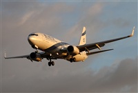 Jos Miguel Bernases - Noisy Spotters. Click to see full size photo