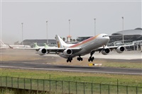 Nacho Rodriguez - Canary Islands Spotting. Click to see full size photo