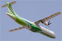Javier de la Cruz - CANARY ISLANDS SPOTTING. Click to see full size photo