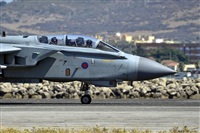 ©Salvador de la Rubia ( Marbella Spotters ). Click to see full size photo ©Salvador de la Rubia ( Marbella Spotters ). Click to see full size photo