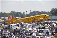 Rui Alves - Madeira Spotters. Click to see full size photo
