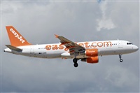 J. Victor Vega-Gran Canaria Spotters. Click to see full size photo