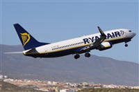 Alfonso Sols - Asociacin Canary Islands Spotting. Click to see full size photo