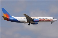©Alfonso Solís - Asociación Canary Islands Spotting. Click to see full size photo ©Alfonso Solís - Asociación Canary Islands Spotting. Click to see full size photo