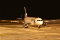 Saimon J Rodriguez   -   Canary Islands Spotting. Haz click para ampliar