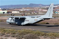 Florencio Martn Melin - Lanzarote Spotters. Haz click para ampliar