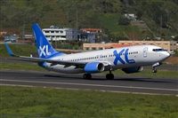 Javier de la Cruz - CANARY ISLANDS SPOTTING. Click to see full size photo