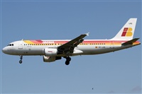 Rubn Gil - Noisy Spotters. Haz click para ampliar