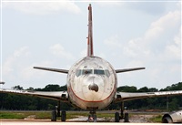 Fabio Duarte - Manaus Spotting Team. Click to see full size photo
