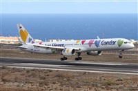 ©Alfonso Solís - Asociación Canary Islands Spotting. Click to see full size photo ©Alfonso Solís - Asociación Canary Islands Spotting. Click to see full size photo