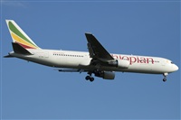 Miguel Alia - Noisy Spotters. Click to see full size photo