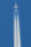 LEBL Spotter. Haz click para ampliar