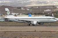 Alfonso Sols - Asociacin Canary Islands Spotting. Click to see full size photo
