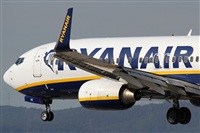 Rubn Gil - Noisy Spotters. Click to see full size photo