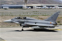 Paco Muoz Arencibia - Gran Canaria Spotters. Click to see full size photo