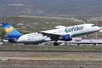 Alfonso Sols - Asociacin Canary Islands Spotting. Click to see full size photo