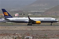 ©Alfonso Solís - Asociación Canary Islands Spotting. Click to see full size photo ©Alfonso Solís - Asociación Canary Islands Spotting. Click to see full size photo