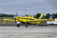 Ayoze Santana Mendez - Canary Islands Spotting. Click to see full size photo