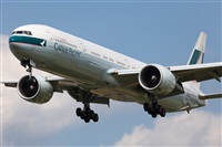 Miguel Alia - Noisy Spotters. Click to see full size photo