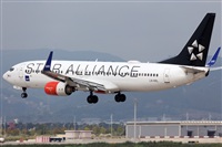 Miguel Alia - Noisy Spotters. Click to see full size photo