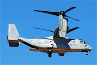 J. Victor Vega-Gran Canaria Spotters. Click to see full size photo