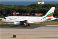 Miguel Alia - Noisy Spotters. Click to see full size photo