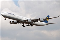 Miguel Martin Cordeiro - Iberian Spotters. Click to see full size photo