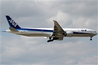 Rubn Gil - Noisy Spotters. Click to see full size photo
