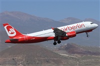 ©Alfonso Solís - Asociación Canary Islands Spotting. Click to see full size photo ©Alfonso Solís - Asociación Canary Islands Spotting. Click to see full size photo