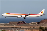 Javier de la Cruz - CANARY ISLANDS SPOTTING. Click to see full size photo