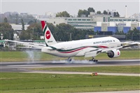 Rubn Gil - Noisy Spotters. Click to see full size photo
