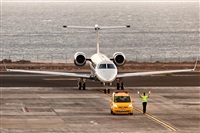 Javier de la Cruz - CANARY ISLANDS SPOTTING. Click to see full size photo
