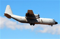 J. Victor Vega-Gran Canaria Spotters. Click to see full size photo