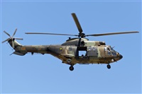 Fco Javier Garca Ruiz. Click to see full size photo