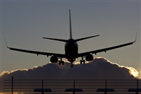 Saimon J Rodriguez   -   Canary Islands Spotting. Click to see full size photo