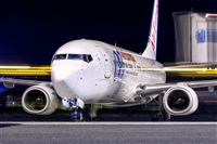 Javier de la Cruz - CANARY ISLANDS SPOTTING. Click to see full size photo