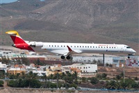 ©J. Victor Vega-Gran Canaria Spotters. Click to see full size photo ©J. Victor Vega-Gran Canaria Spotters. Click to see full size photo