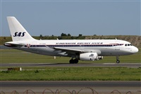 Alfonso Sols - Asociacin Canary Islands Spotting. Click to see full size photo